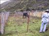 Practica Taller del Postgrado Paramo de Gavidia (2)
